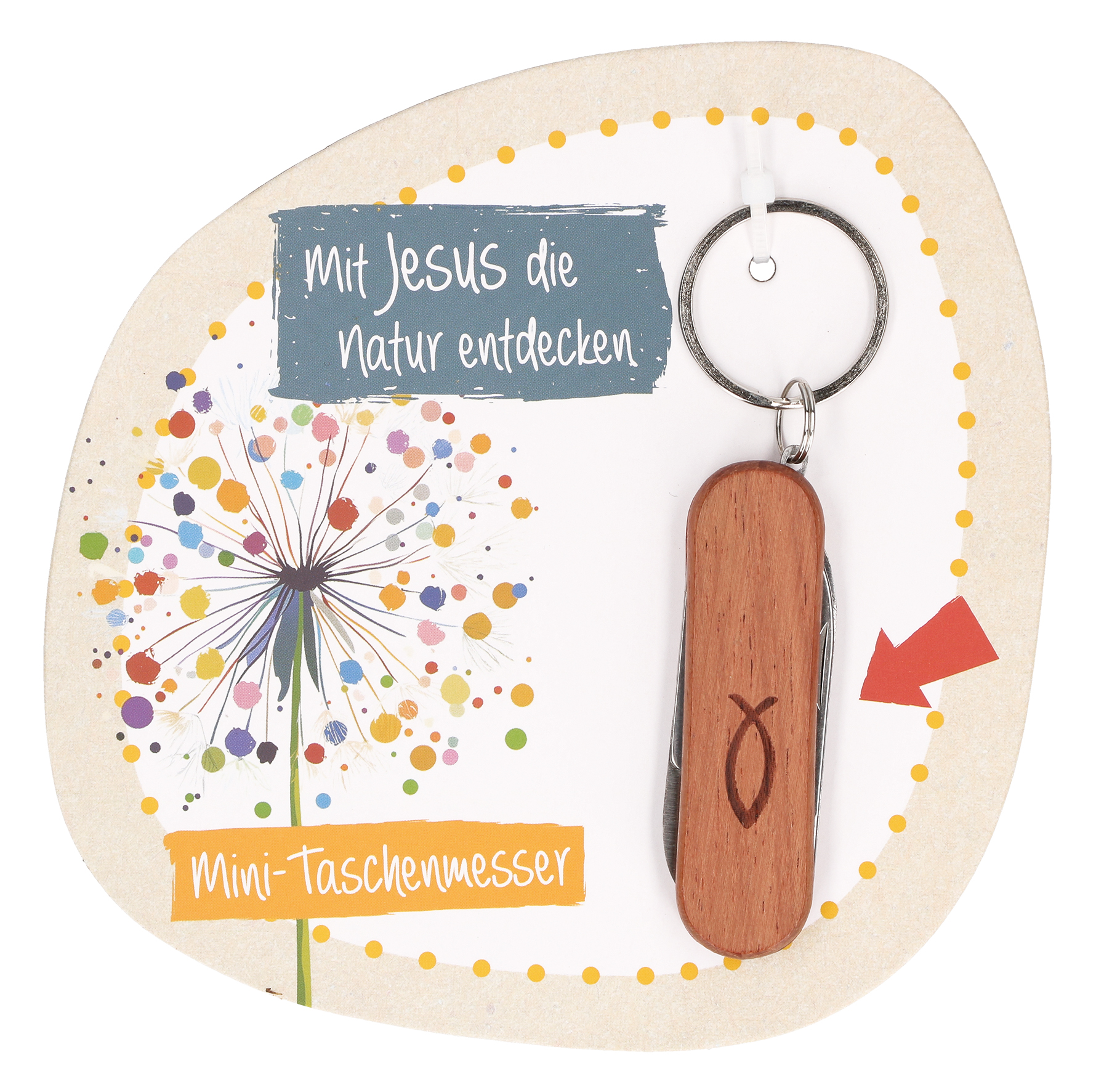 Mit Jesus die Natur entdecken