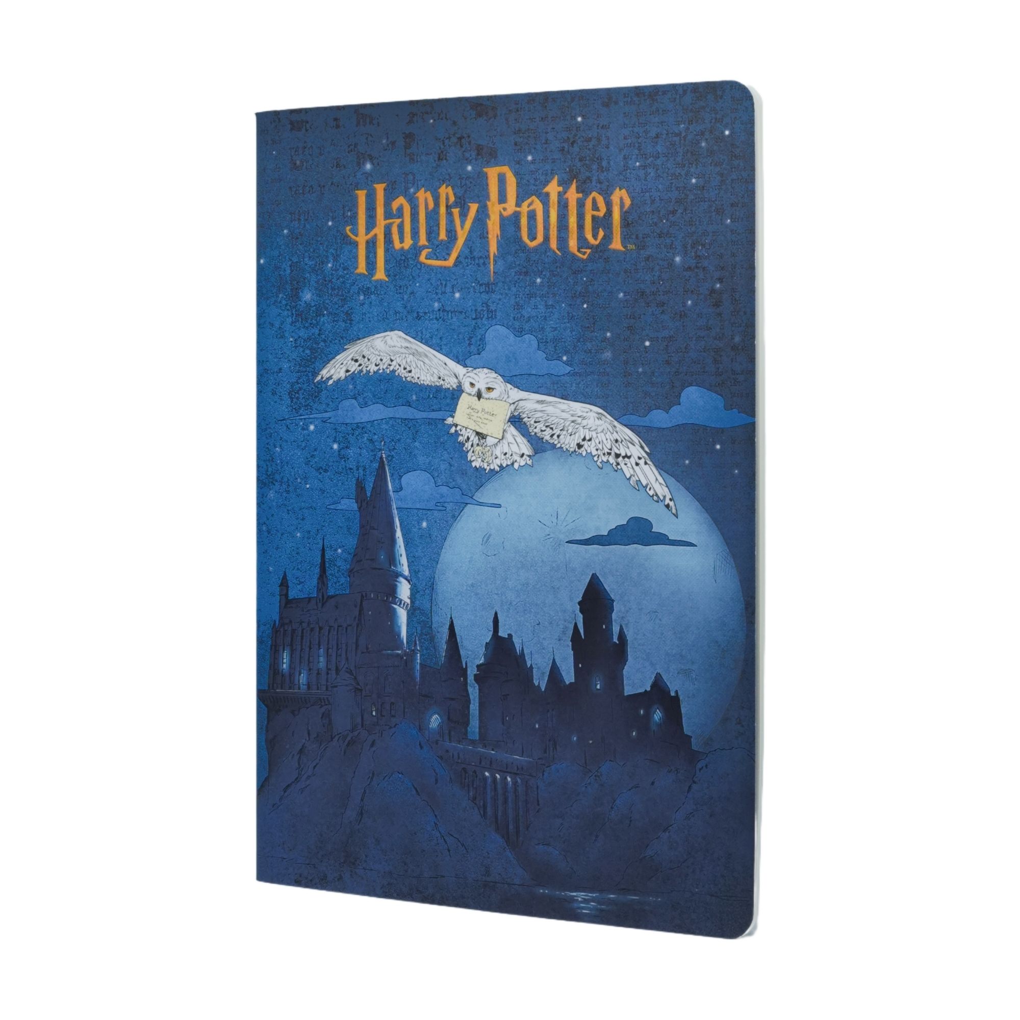 Notizbuch Harry Potter - Aufbruch nach Hogwarts, DIN A4, liniert