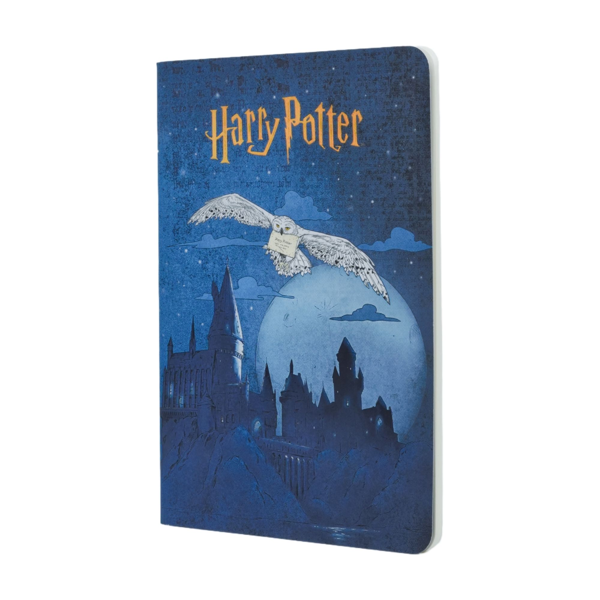 Notizbuch Harry Potter - Aufbruch nach Hogwarts, DIN A5, liniert