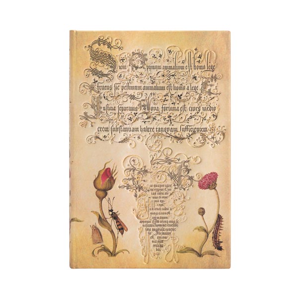 Notizbuch Flämische Rose, Mini, liniert
