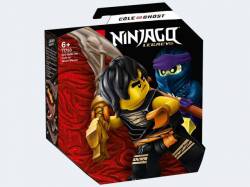 LEGO Ninjago Battle Set: Cole vs. Geisterkämpfer 71733