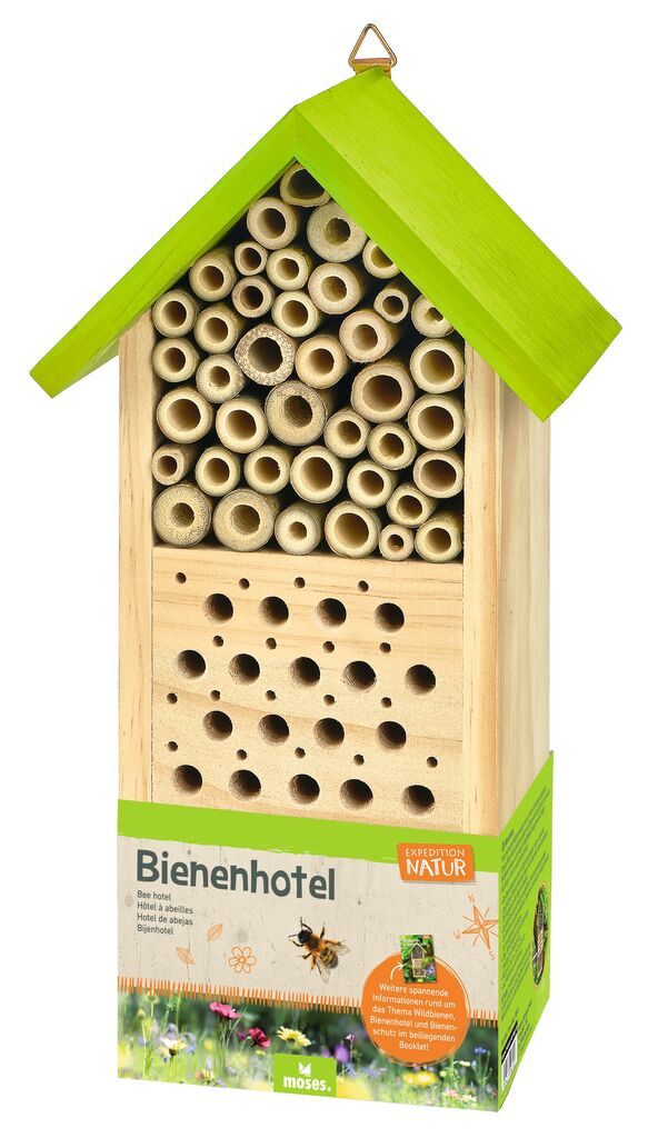 Bienenhotel Experimente Natur