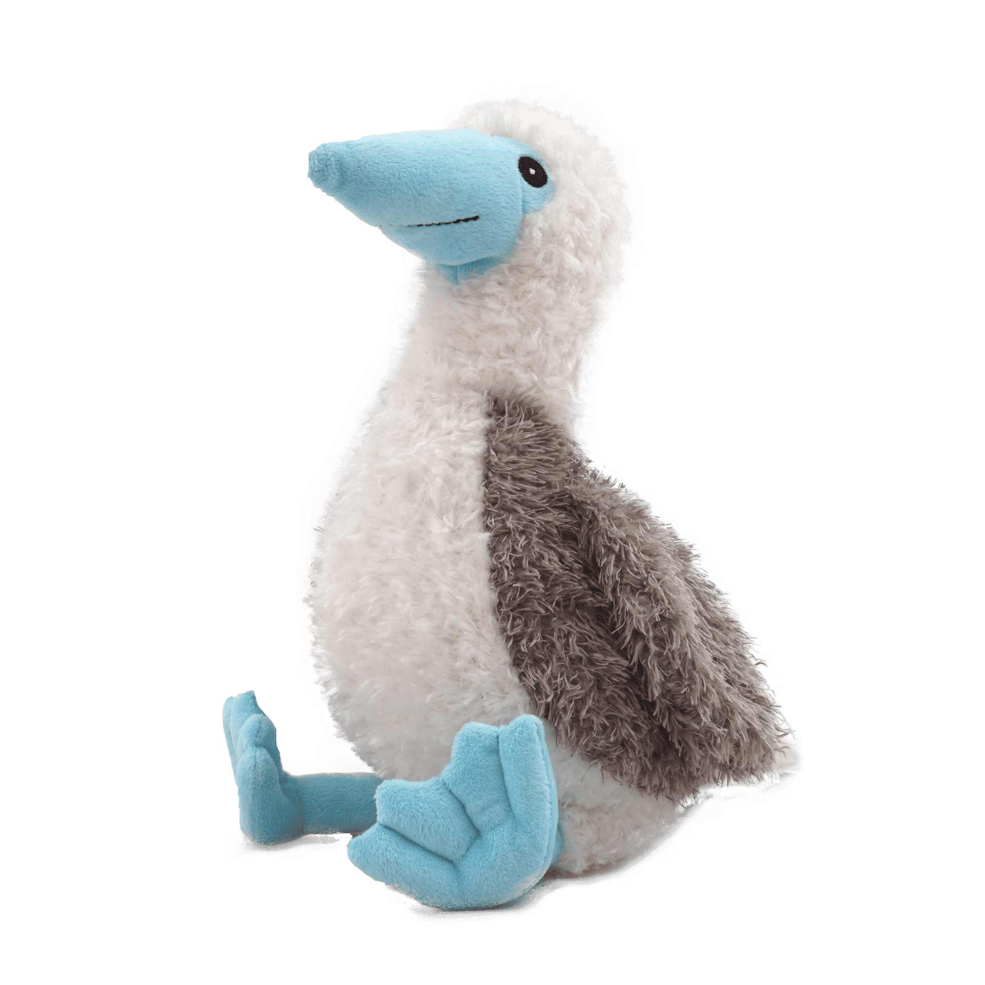 Bo Blaufuß