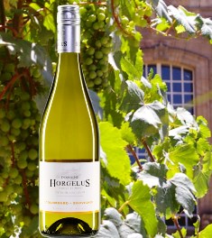 HORGELUS BLANC