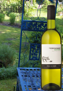 LE COCHONNET SAUVIGNON BLANC