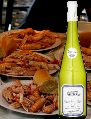 Muscadet Sevre et Maine Sur Lie AOP