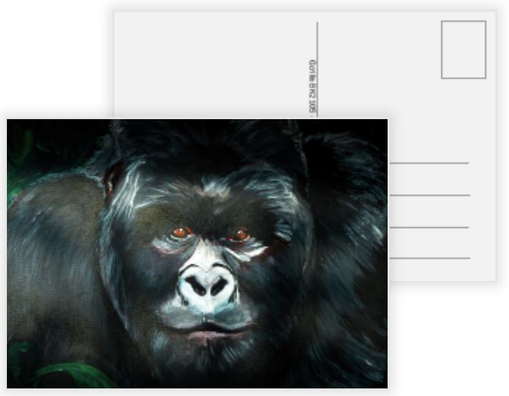 Gorilla – Postkarte