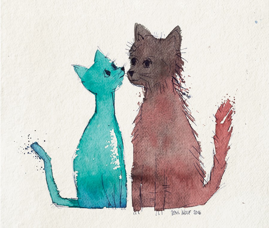 Zwei Katzen