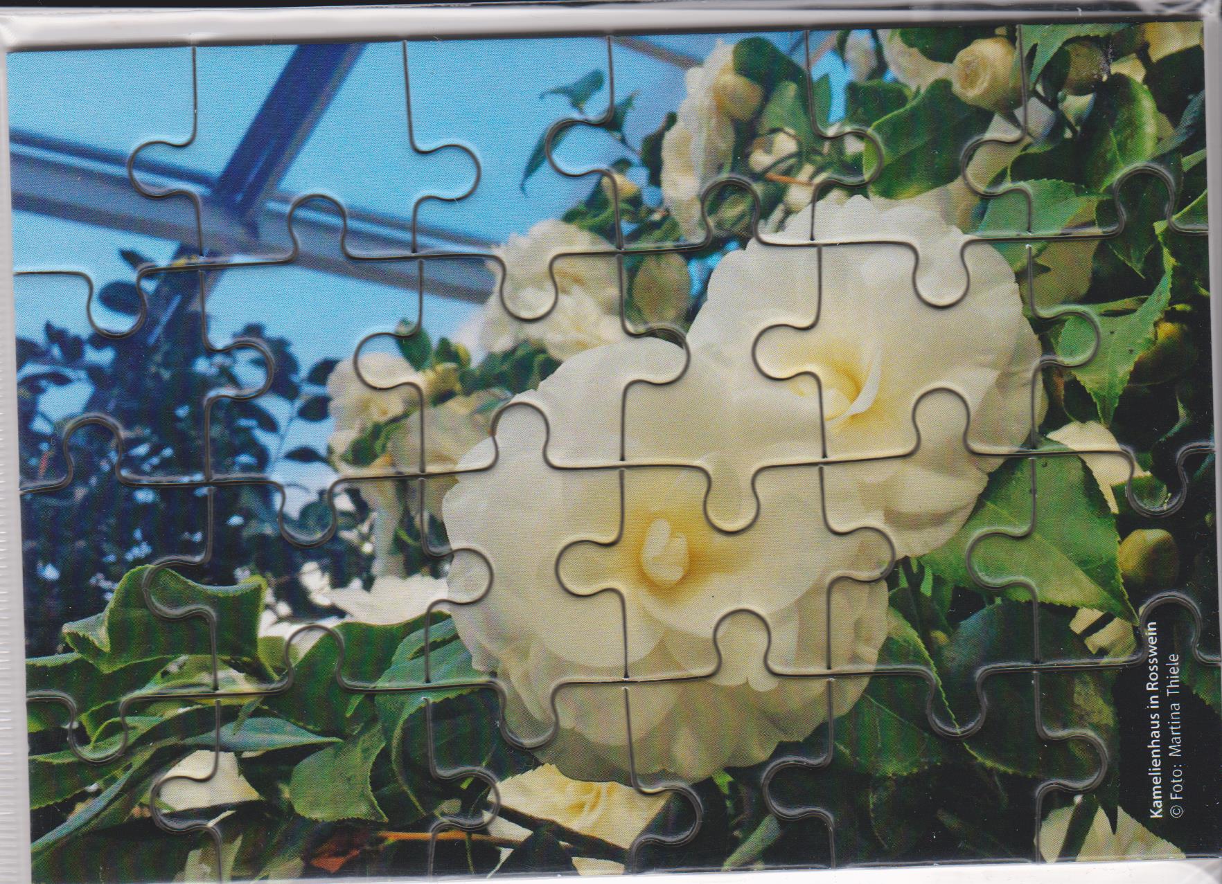 Mini-Puzzle: Kamelie Roßwein