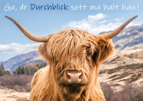 Ga, dr Durchblick sott ma halt hau