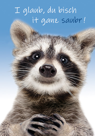 I glaub, du bisch it ganz saubr