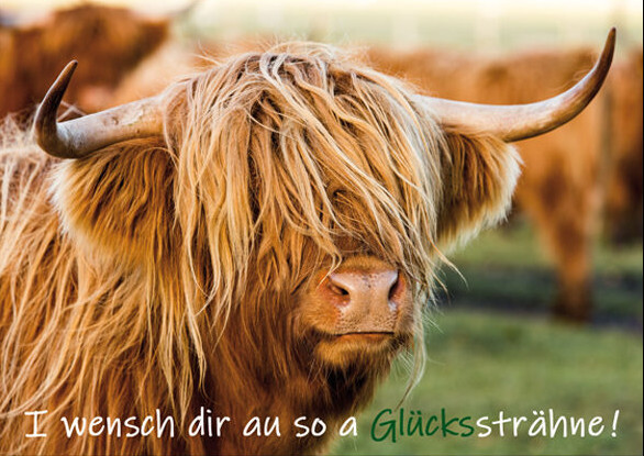 I wensch dir au so a Glückssträhne