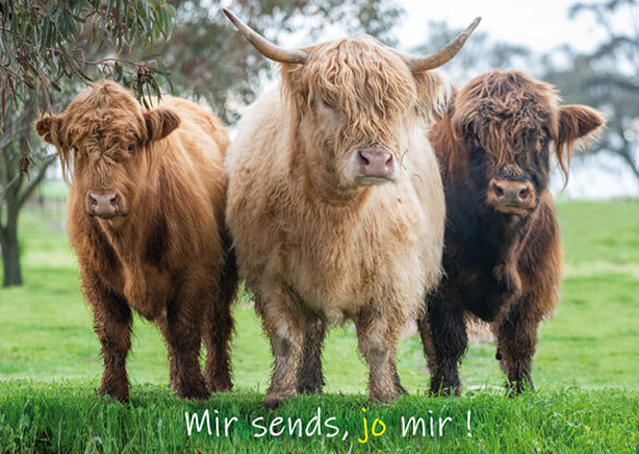 Mir sends, jo mir