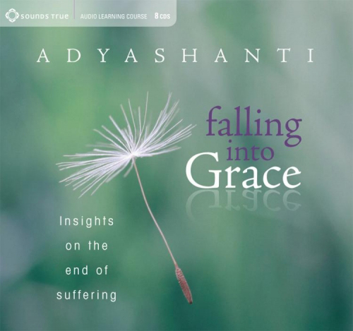 CD: Falling into Grace, 9 CDs - Cover