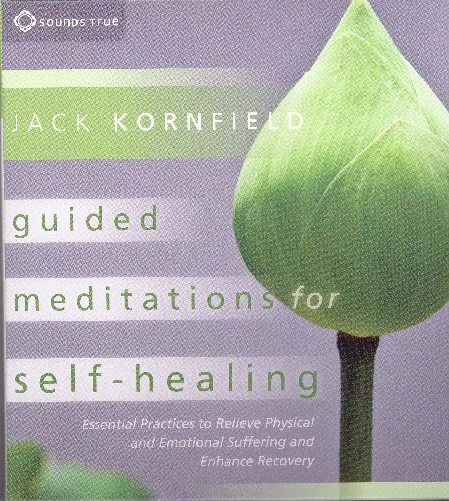 CD: Guided Meditations for Self-Healing (2 CDs)    