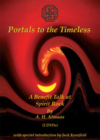 DVD: Portals to The Timeless - Cover