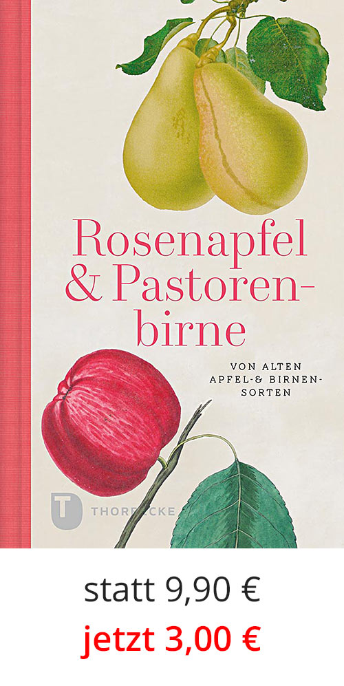 Rosenapfel und Pastorenbirne