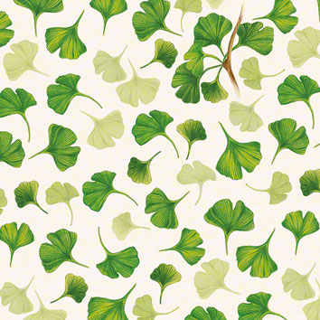 Gingko Biloba