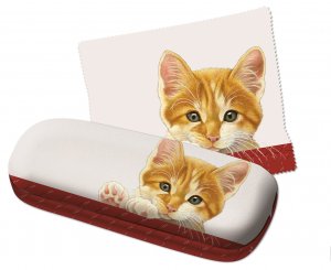 Katze